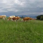 Apartmán Gruberhof Rimsting